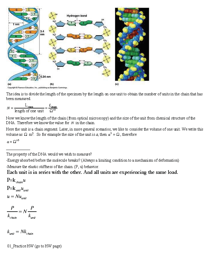 dna-2